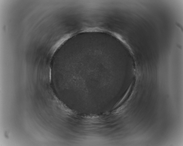 X0000099471221200805161103