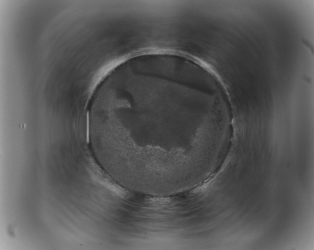 X0000099471223200805161103
