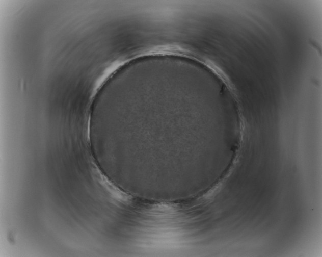 X0000099471224200805161103