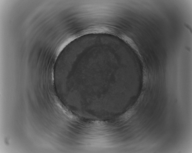 X0000099471226200805161103