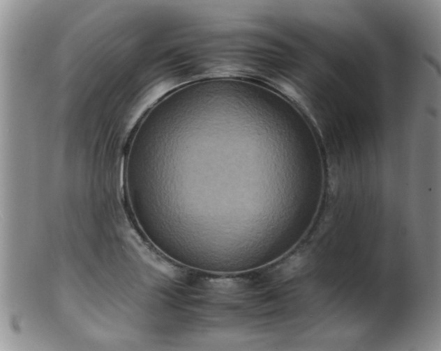 X0000099471227200805161103