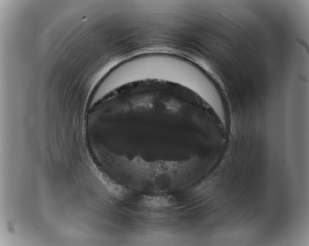 X0000099471229200805161103