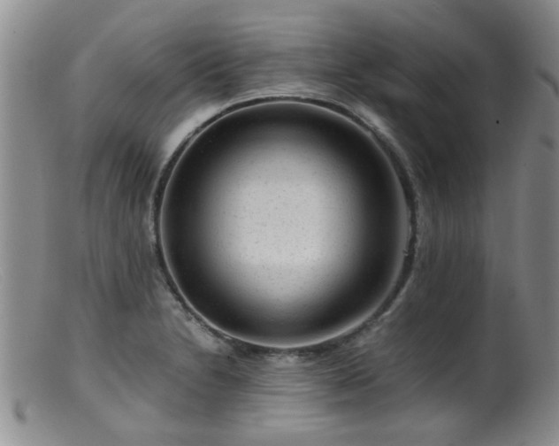 X0000099471230200805161103