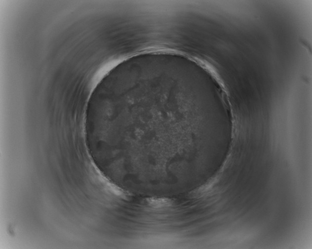 X0000099471231200805161103