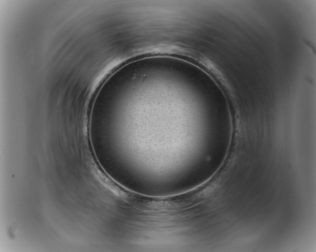X0000099471232200805161103