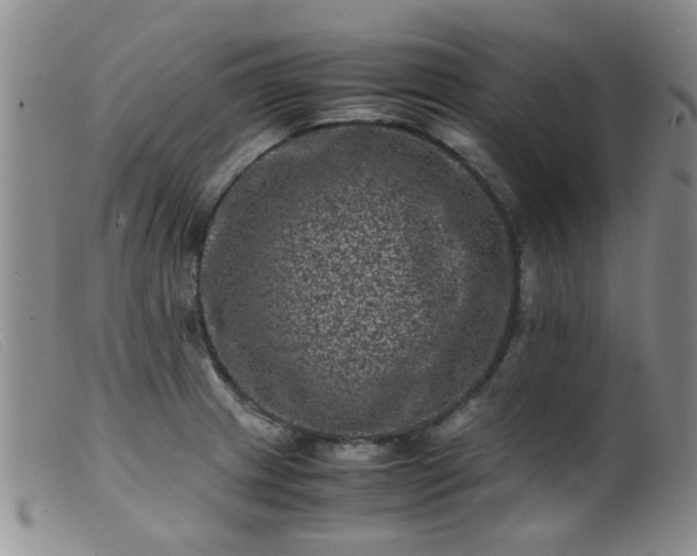 X0000099471233200805161103