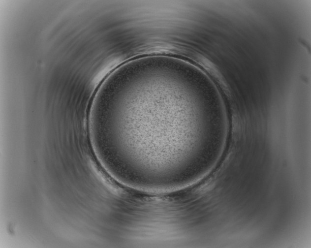 X0000099471234200805161103
