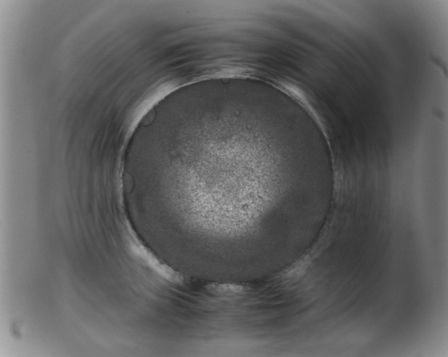X0000099471235200805161103