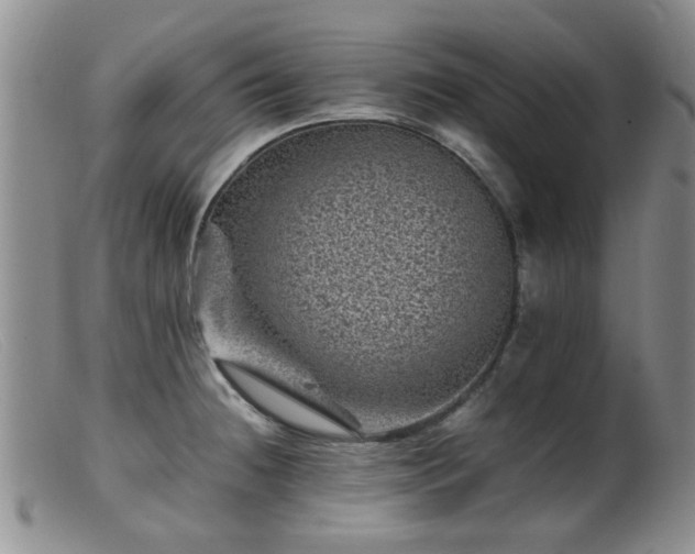 X0000099471236200805161103