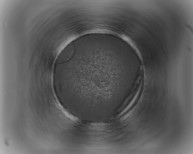 X0000099471237200805161103