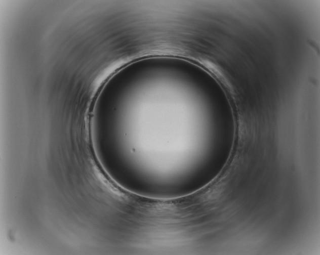 X0000099471238200805161103