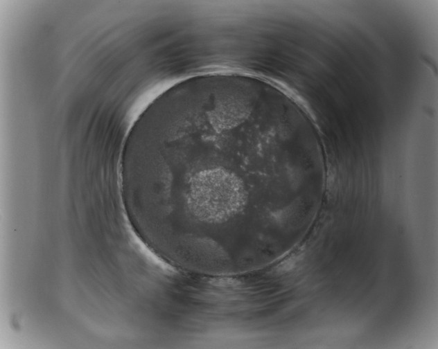 X0000099471239200805161103