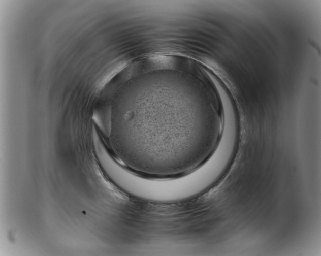 X0000099471241200805161103