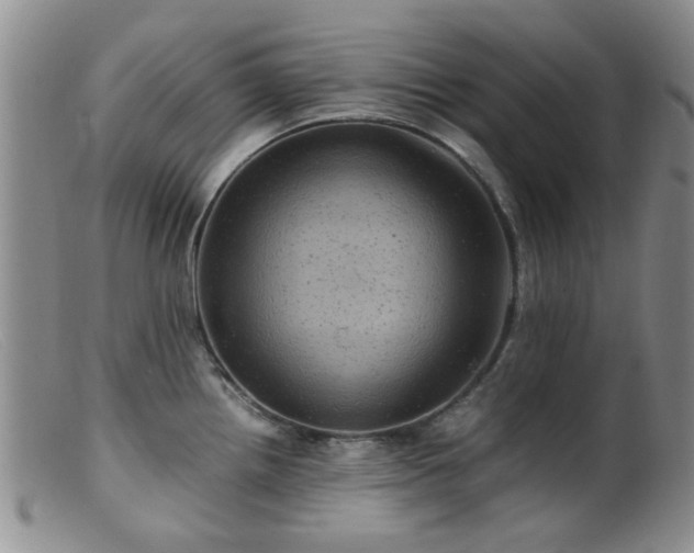 X0000099471242200805161103