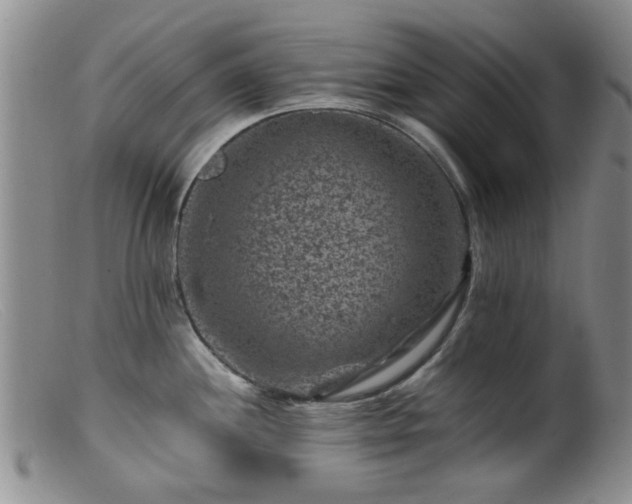 X0000099471244200805161103