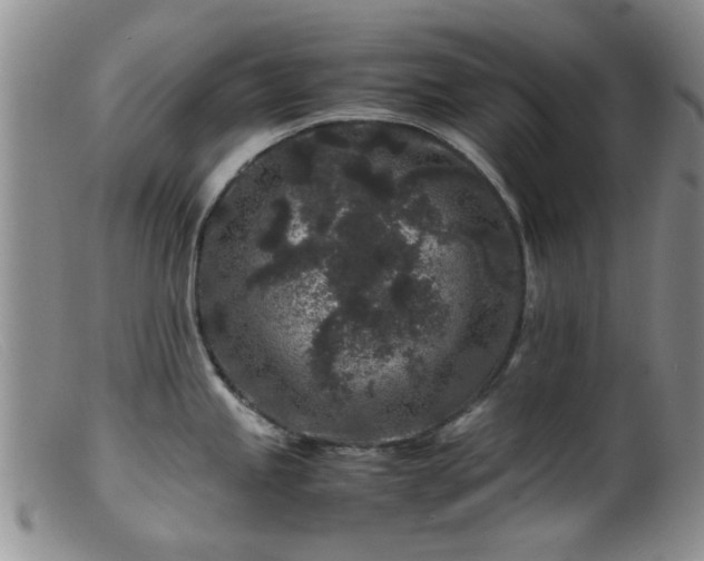 X0000099471245200805161103