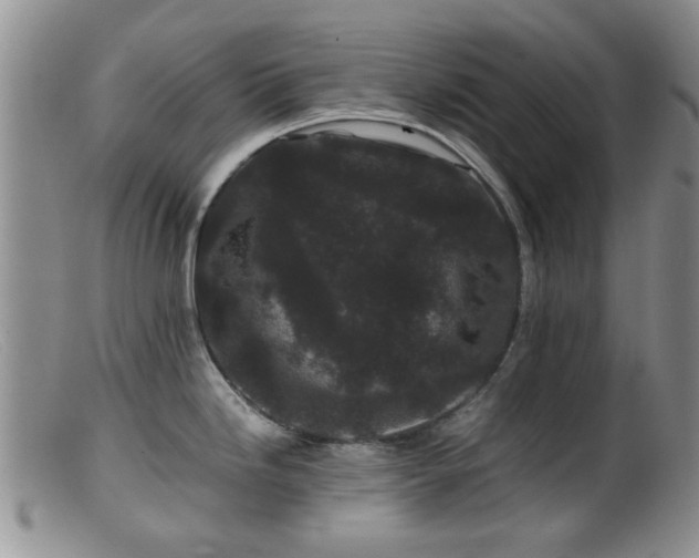 X0000099471246200805161103