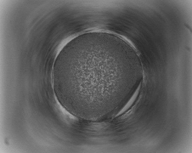 X0000099471247200805161103