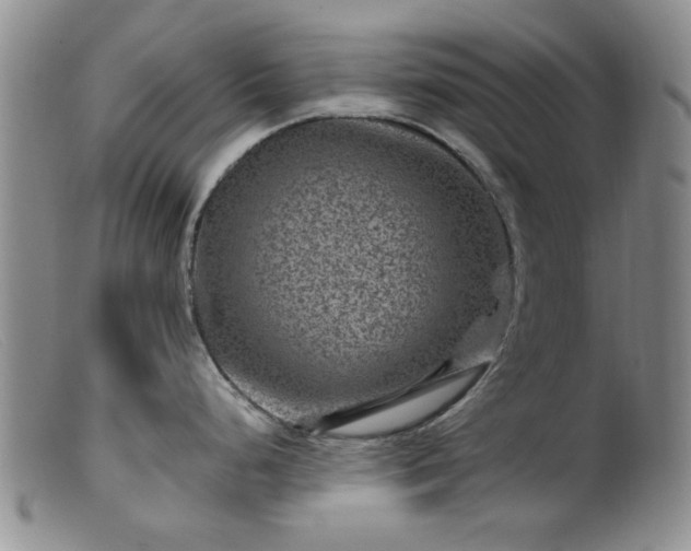 X0000099471248200805161103