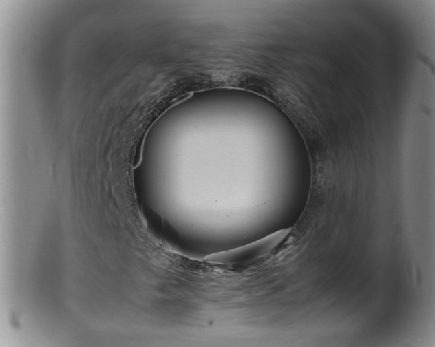 X0000099471249200805161103