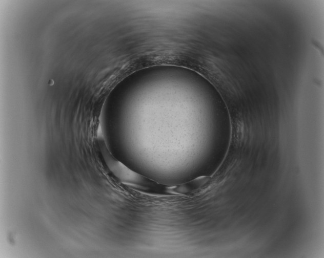 X0000099471250200805161103
