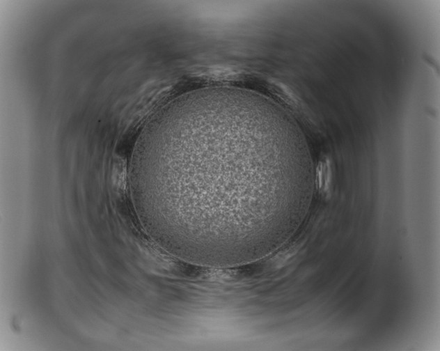 X0000099471251200805161103