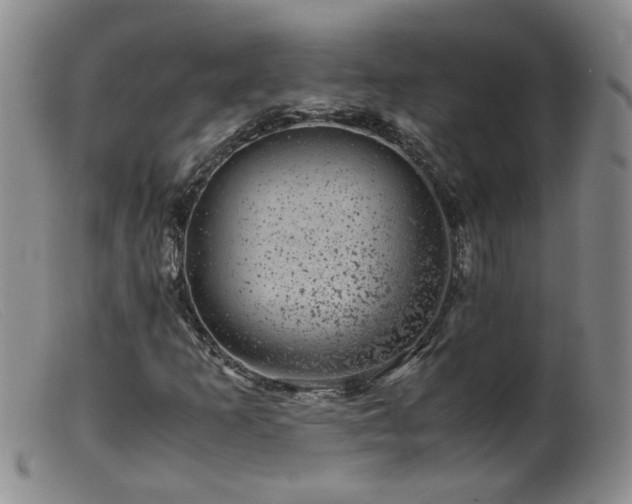 X0000099471253200805161103