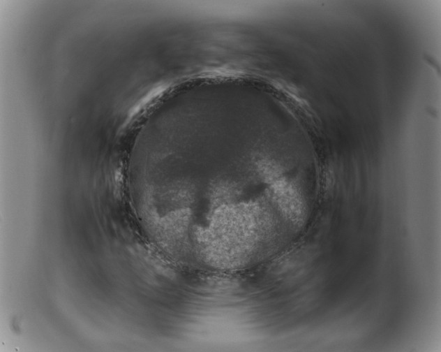 X0000099471254200805161103