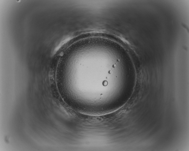 X0000099471255200805161102