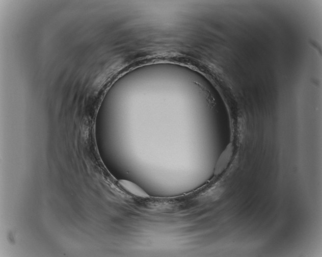 X0000099471257200805161102