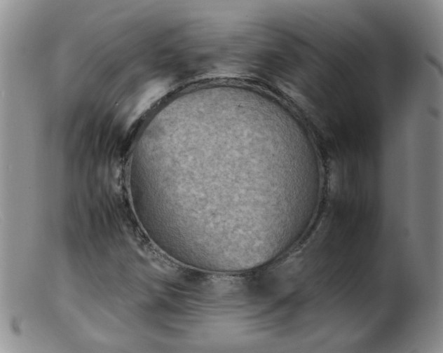 X0000099471258200805161102