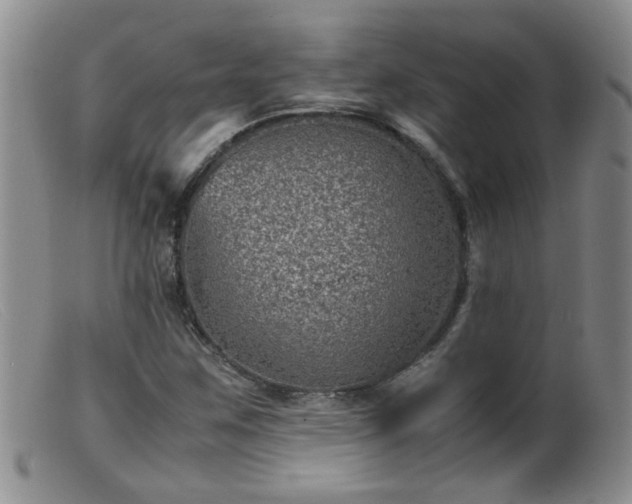 X0000099471259200805161102