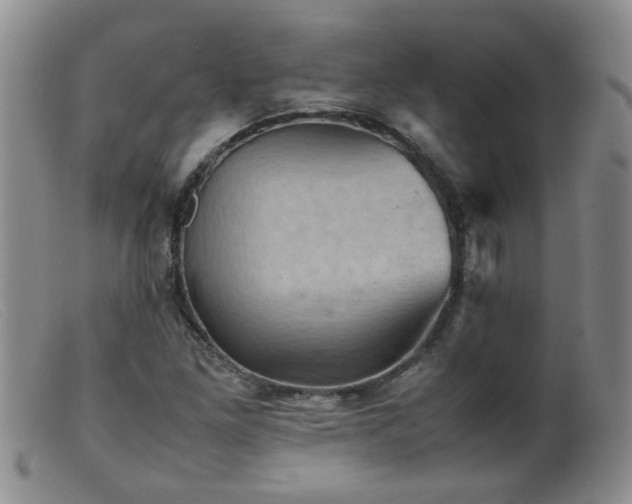 X0000099471261200805161102