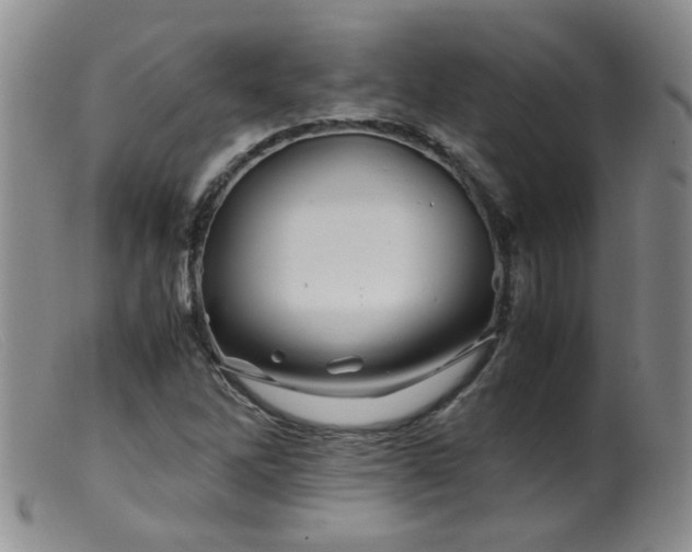 X0000099471262200805161102