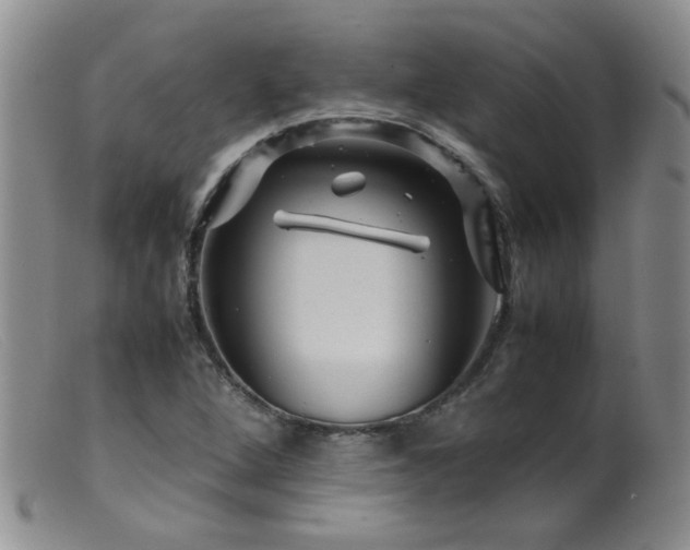 X0000099471264200805161102