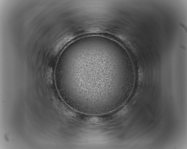 X0000099471265200805161102