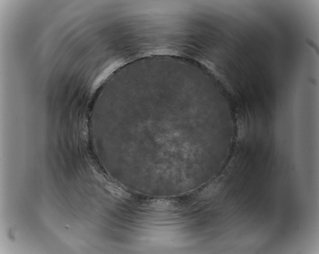 X0000099471266200805161102