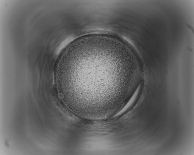 X0000099471267200805161102