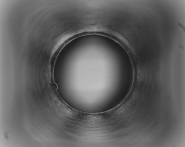 X0000099471270200805161102