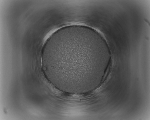 X0000099471271200805161102