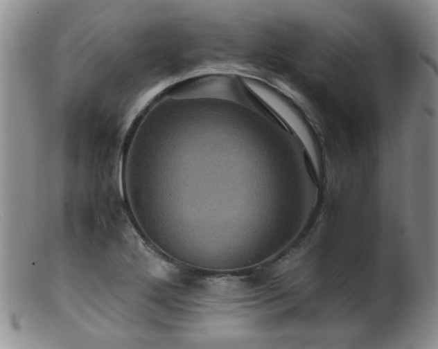 X0000099471272200805161102