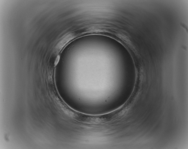 X0000099471273200805161102