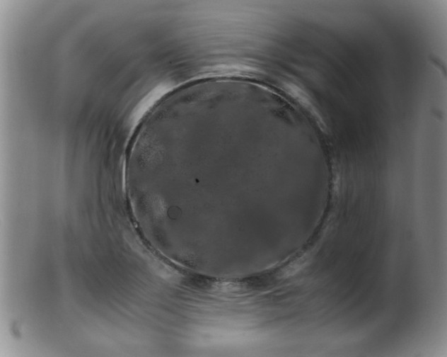 X0000099471275200805161102