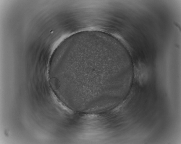 X0000099471278200805161102