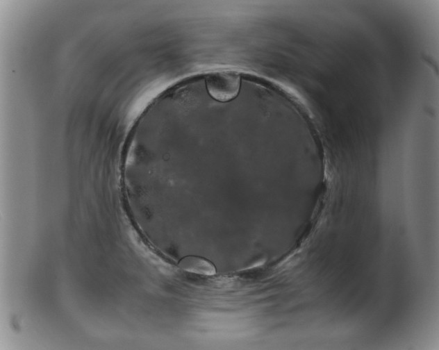 X0000099471279200805161102
