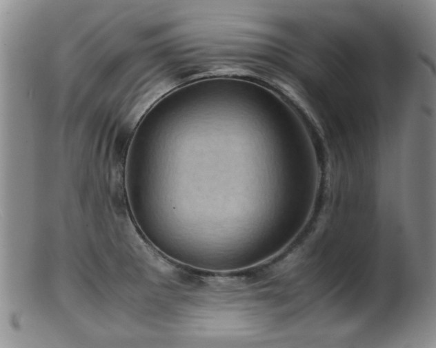 X0000099471281200805161102
