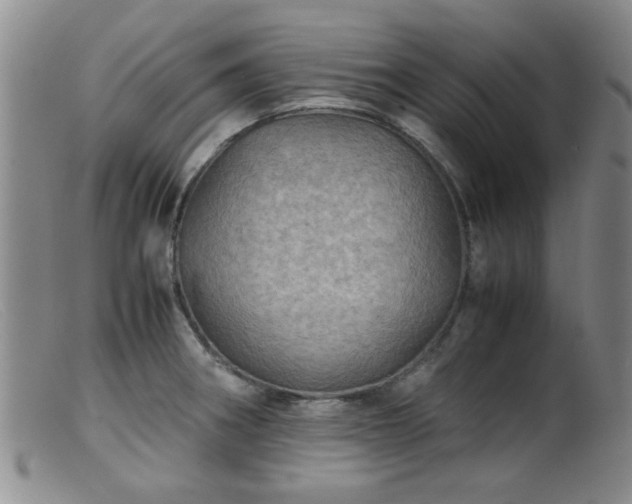 X0000099471282200805161102