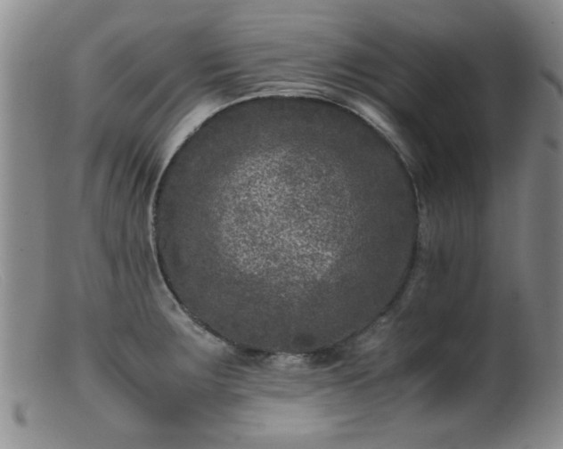 X0000099471283200805161102