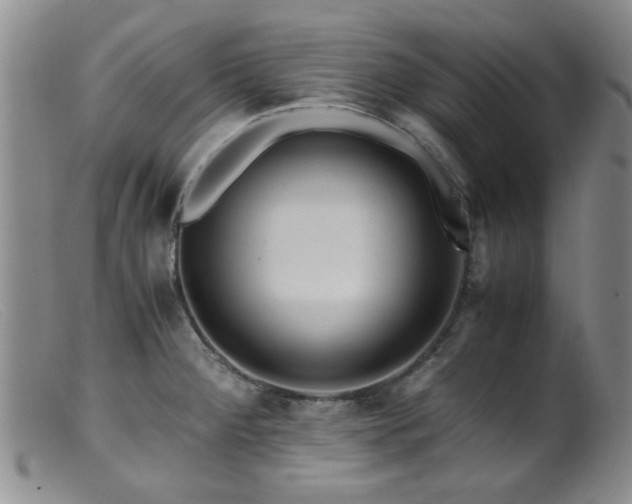 X0000099471284200805161102