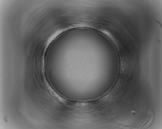 X0000099471286200805161102